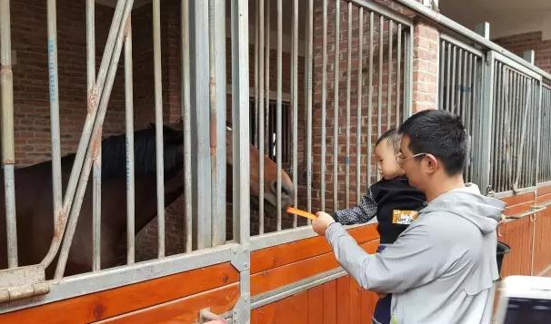 NYC紐約國際悠唐廣場騎馬活動