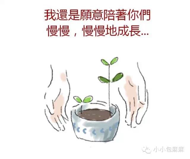 NYC紐約國際溫州鹿城早教中心一個關于二胎的感人漫畫