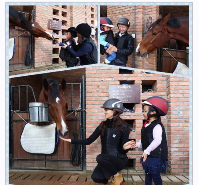 馬術師
