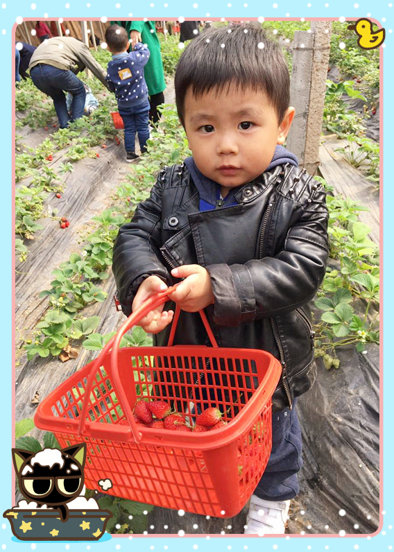 NYC紐約國際邯鄲早教中心植樹節活動