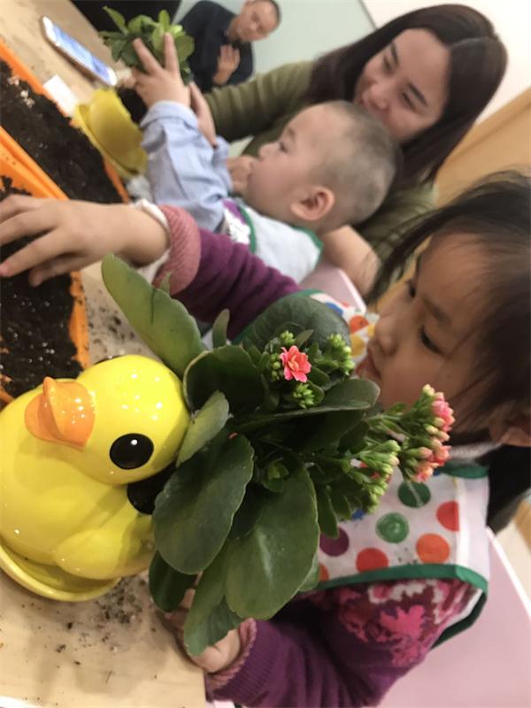 NYC紐約國際烏魯木齊早教中心：3.12植樹節,寶寶們護綠好專注
