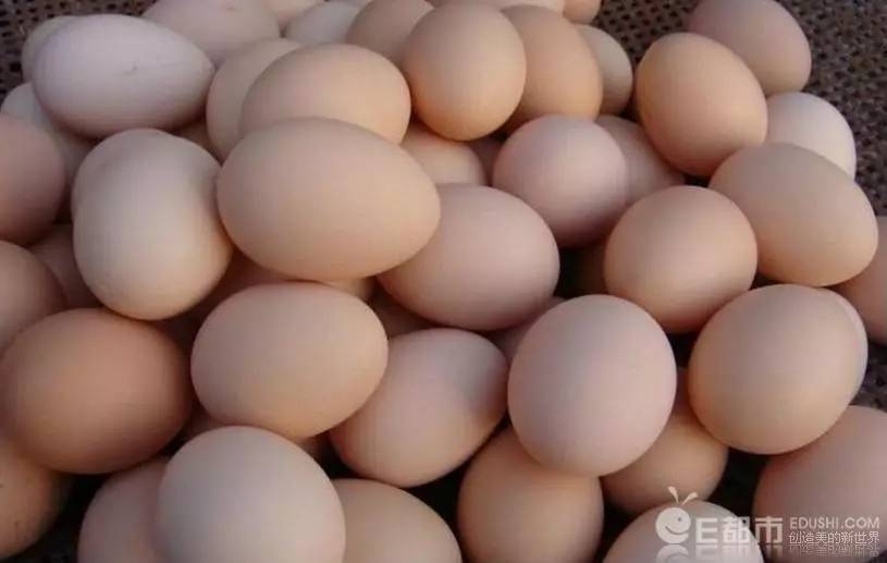 5月31日-6月4日【早教Cooking主題】黃桃蛋撻_NYC紐約國際浙江余姚萬達中心
