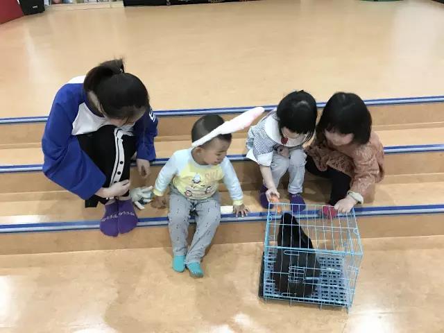 NYC紐約國際山東濰坊萬達中心_【活動回顧】復活節奇妙夜！