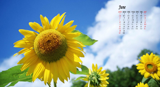 NYC紐約國際曲江早教中心6月份活動