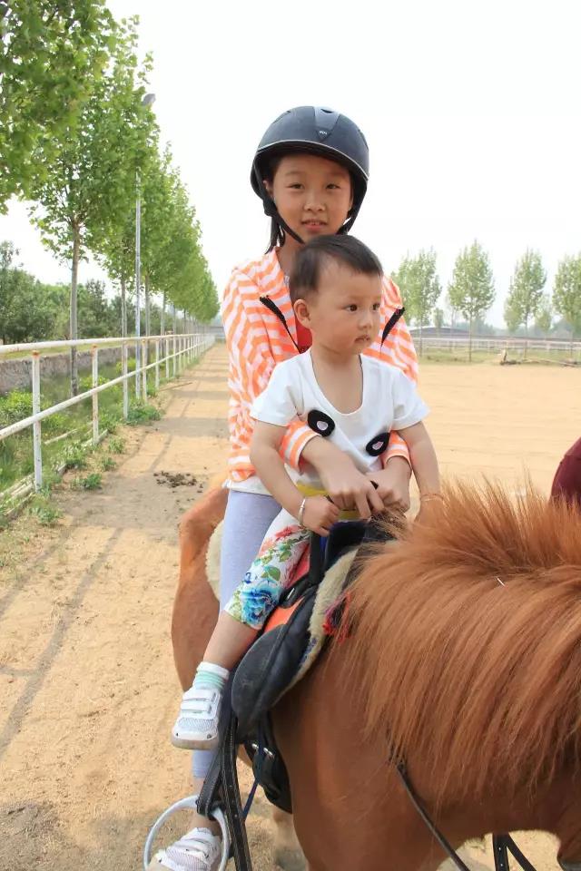 帥帥的馬兒，我們交個朋友吧