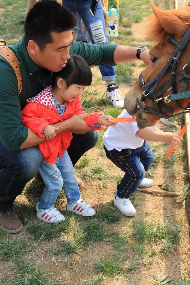 帥帥的馬兒，我們交個朋友吧