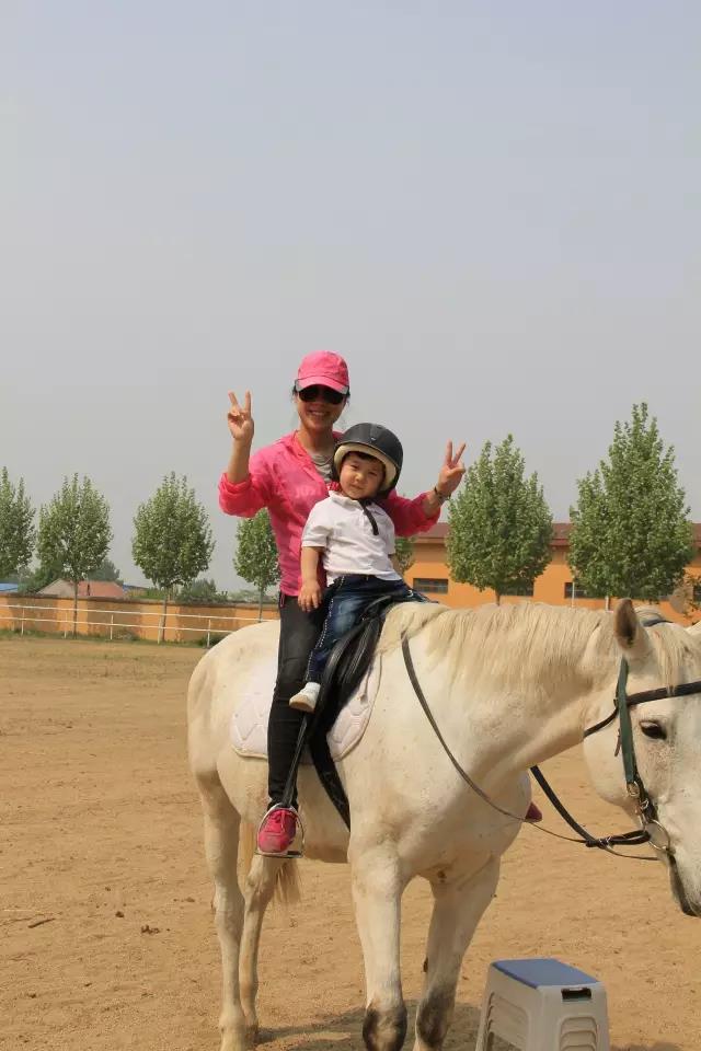 帥帥的馬兒，我們交個朋友吧