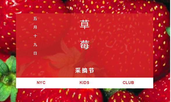 NYC紐約國際撫順早教中心摘草莓活動回顧