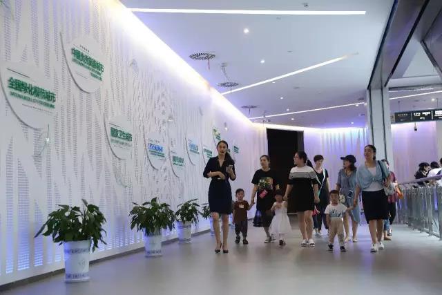 NYC紐約國際江蘇宿遷金鷹中心：活動回顧丨我的城市我的家，我是城市的小主人