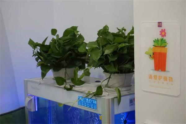 NYC遠洋樂堤港早教中心