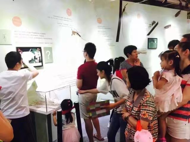 NYC紐約國際深圳寶能太古城中心：活動回顧 | 蝶舞飛揚科普館，你和蝴蝶打招呼了嗎