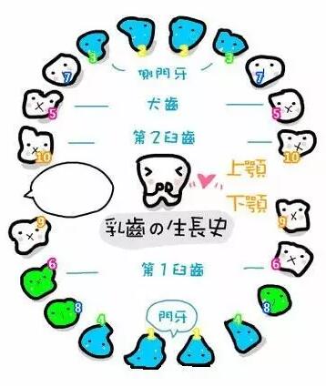 NYC紐約國際浙江余姚萬達早教中心：【活動回顧】我是小小牙醫