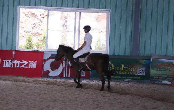 NYC紐約國際遼寧錦州早教中心馬術俱樂部活動回顧