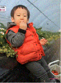 山東濰坊早教