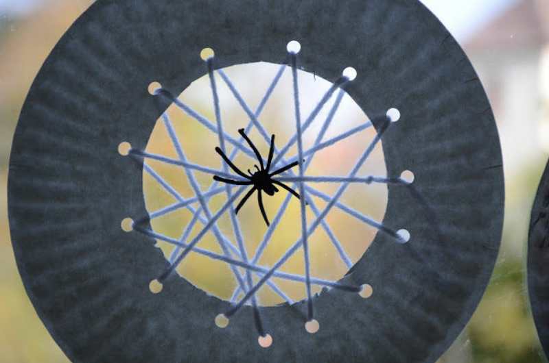 NYC紐約國際大慶新潮早教中藝術主題：Spider