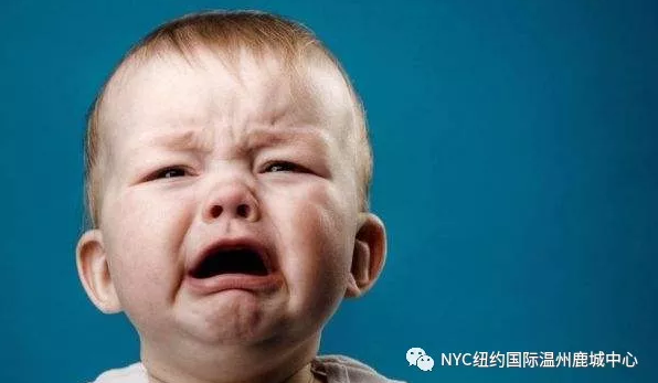 NYC紐約國際溫州鹿城早教中心正面管教預告