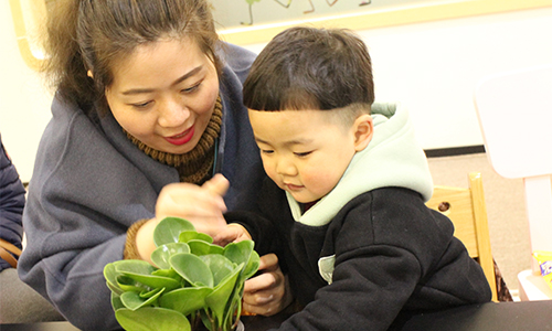 NYC紐約國際溫州鹿城早教中心植樹節回顧