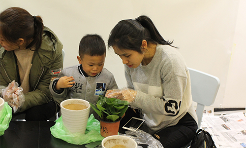 NYC紐約國際溫州鹿城早教中心植樹節回顧