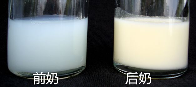 母乳中前奶和后奶的區別 哪種對寶寶好