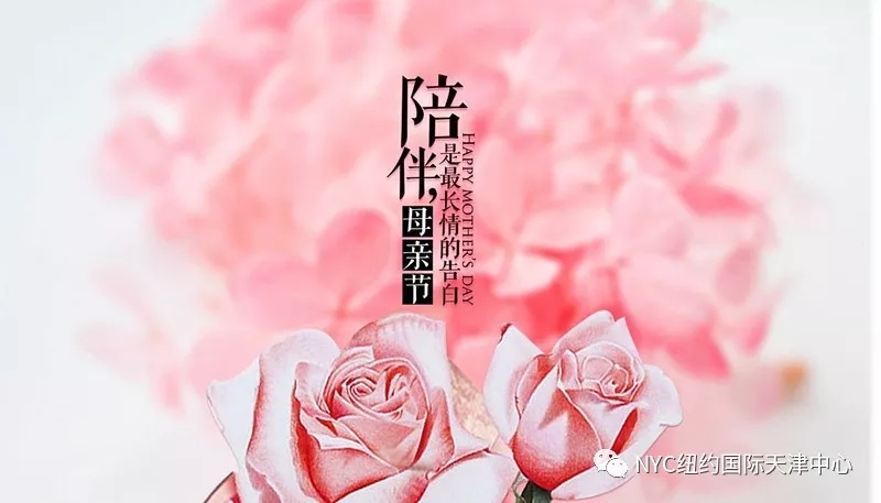 天津河東早教中心