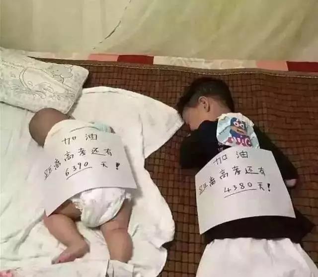 『高考』如果當初上了早教...