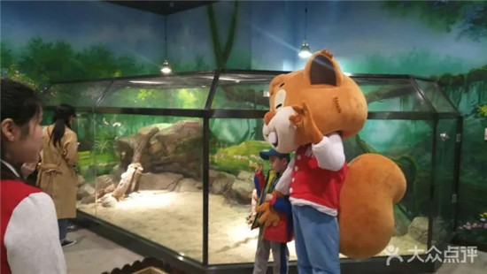 NYC大連印象城中心：“么么”動物園活動招募