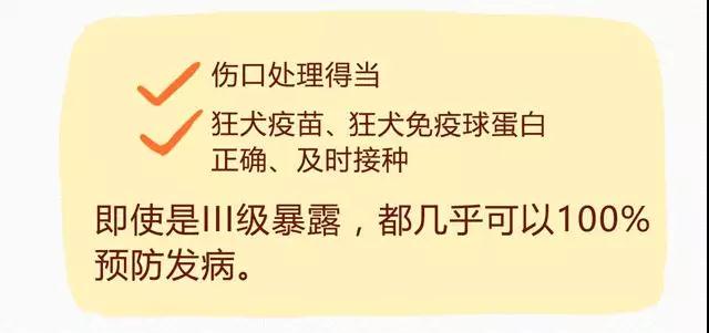 NYC寧波早教中心