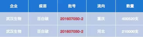 NYC太陽宮早教中心：“問題疫苗”事件持續發酵！家長們最關心的問題都在這里了！