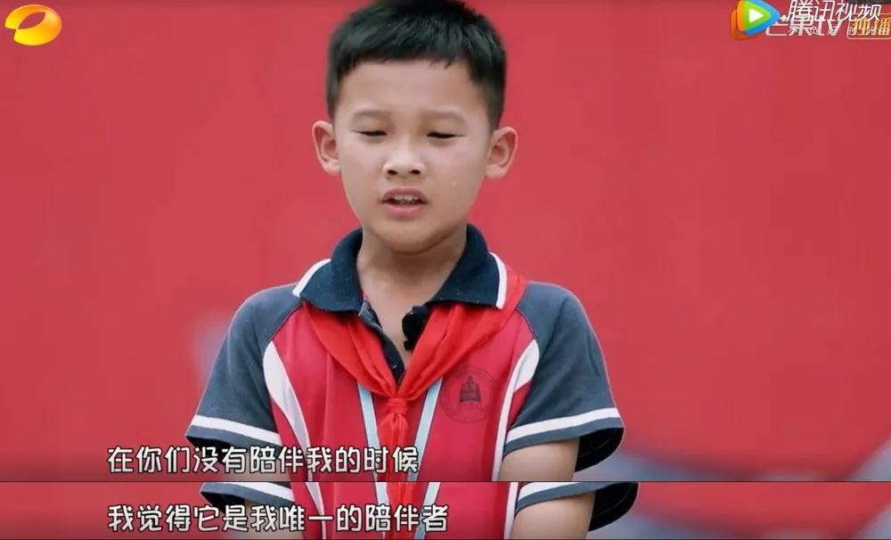 一個孩子的心聲讓無數人落淚