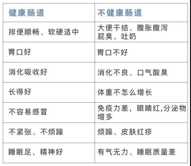 NYC紐約國際太陽宮早教中心：這是一個“有味道”的寶寶健康小知識科普~