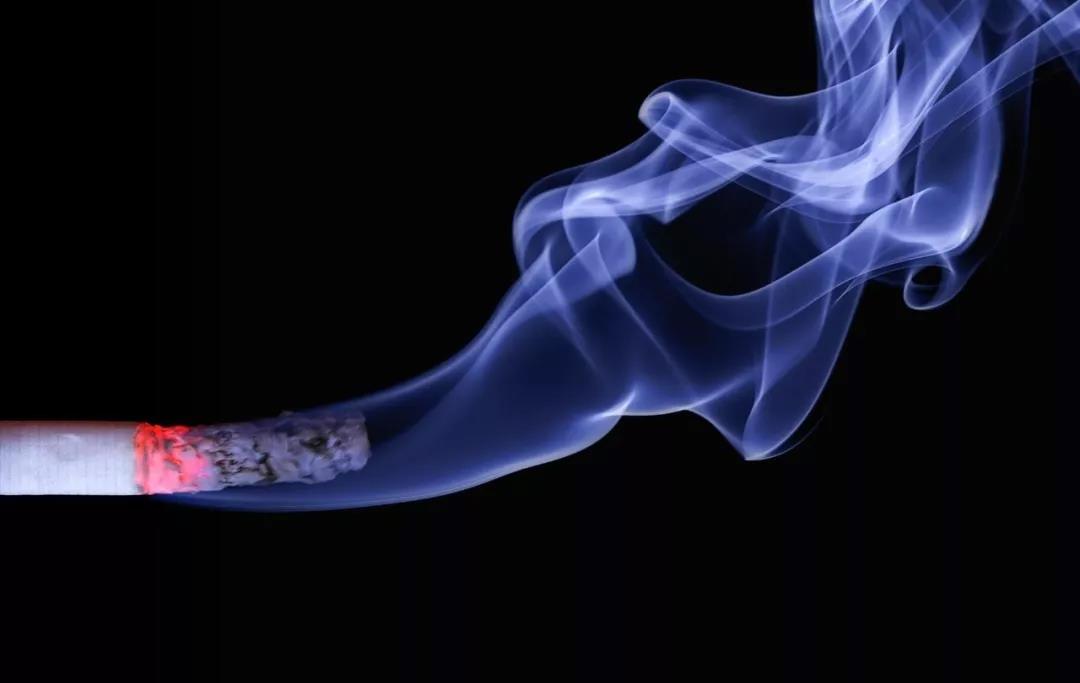 NYC紐約國際舊宮早教中心：請不要再因為吸煙，害了孩子。