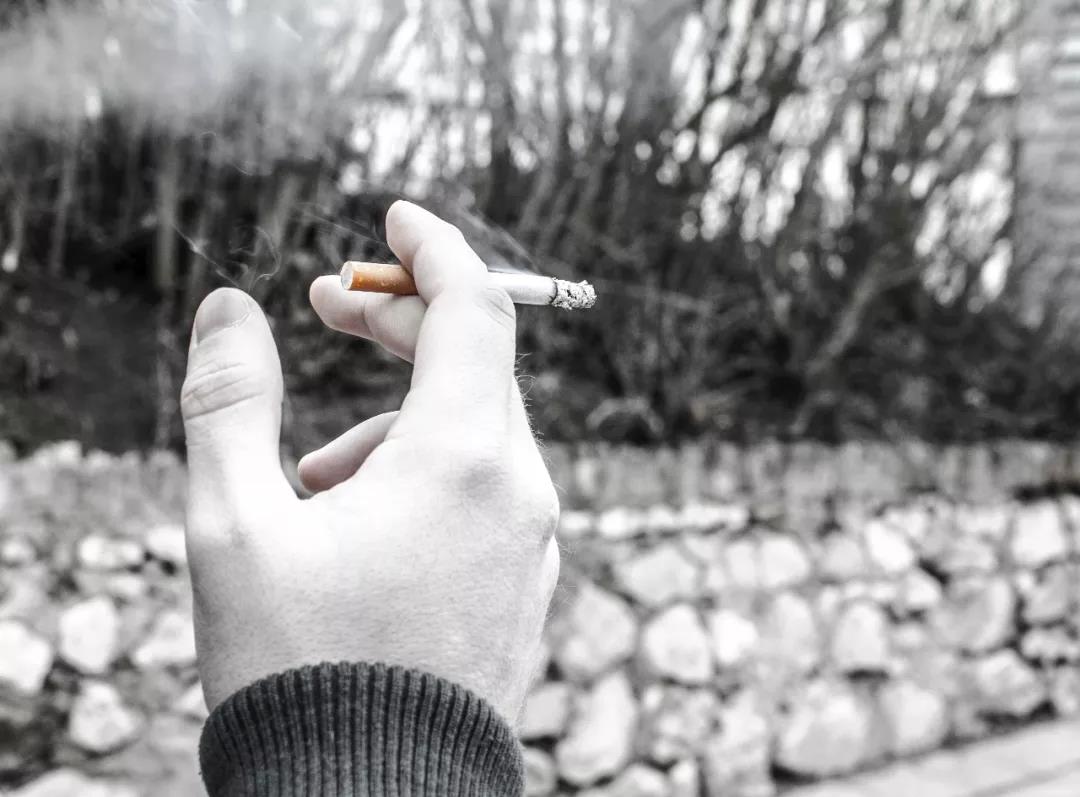 NYC紐約國際舊宮早教中心：請不要再因為吸煙，害了孩子。