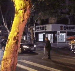 NYC紐約國際通州早教中心：路人眼里的孩子，憑什么這么可愛？