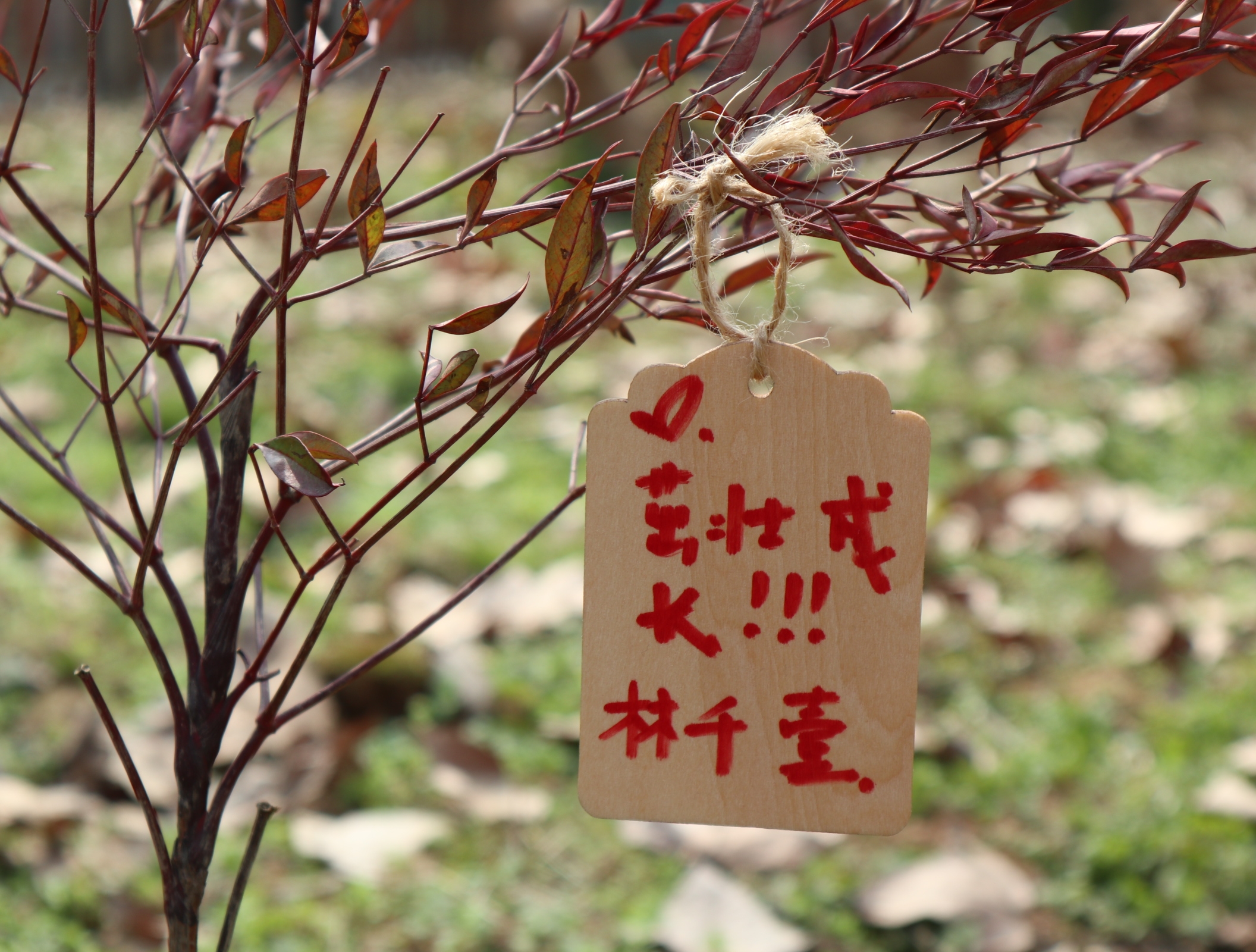 武漢漢陽早教中心