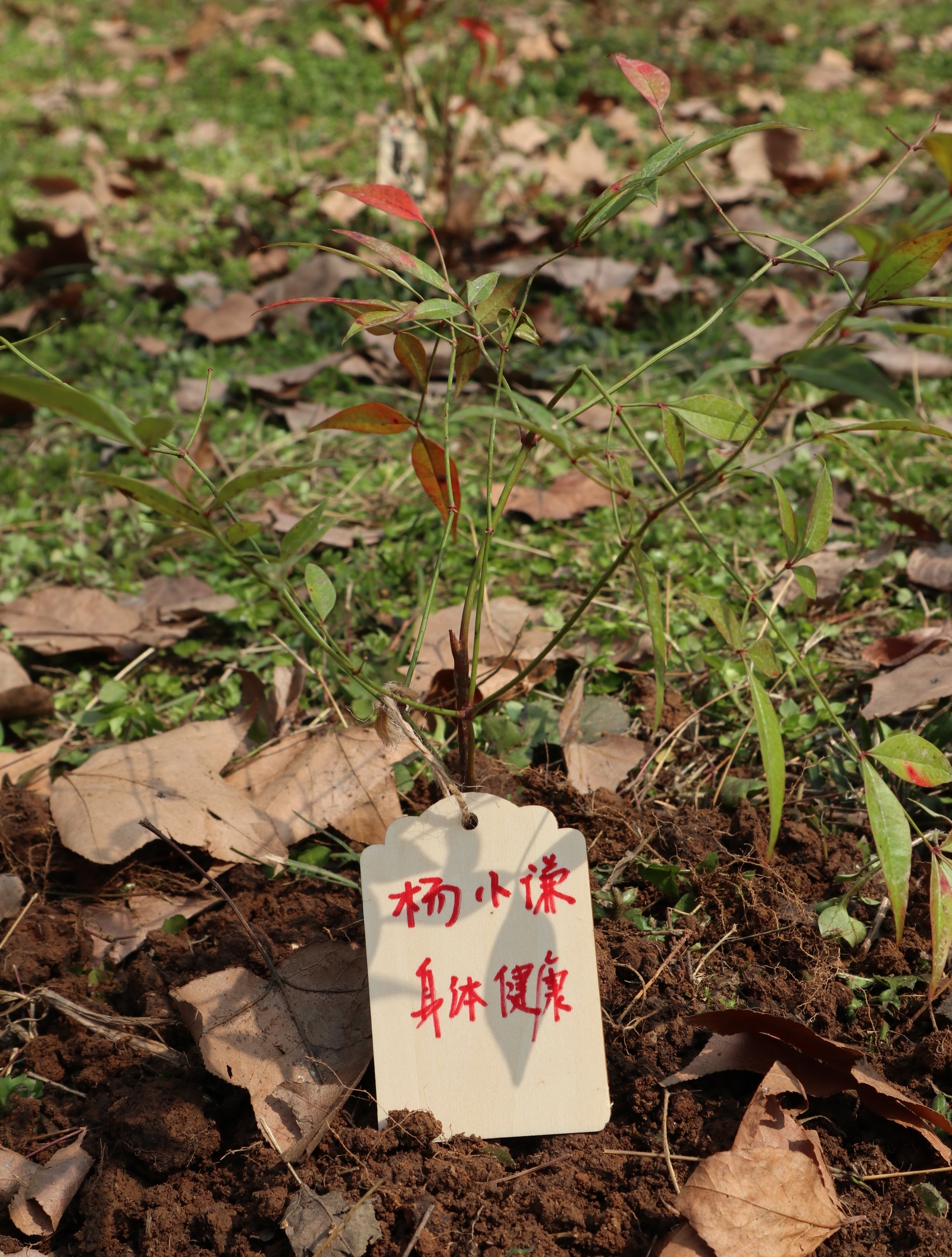 武漢漢陽早教中心