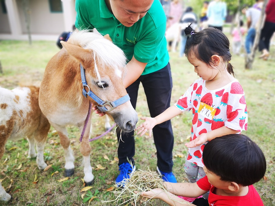小小馬術師
