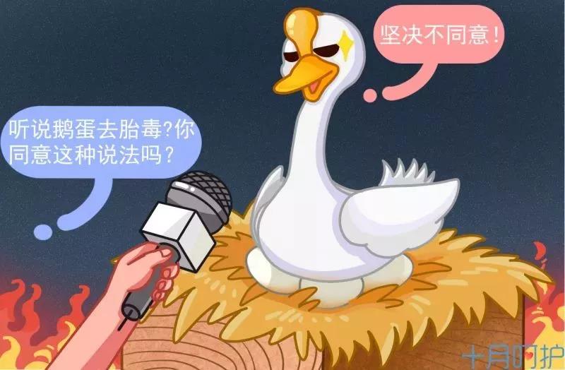 桐鄉紐約國際早教中心