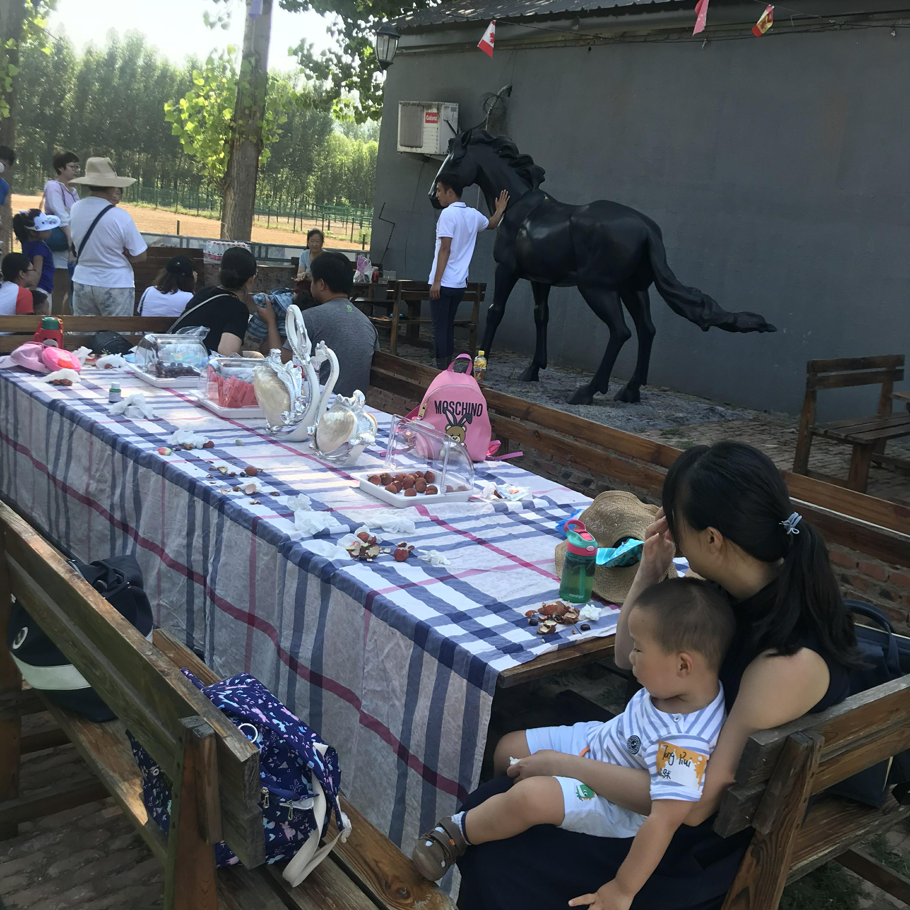 NYC紐約國際兒童俱樂部平谷早教中心：火爆活動之《小小馬術師》活動回顧