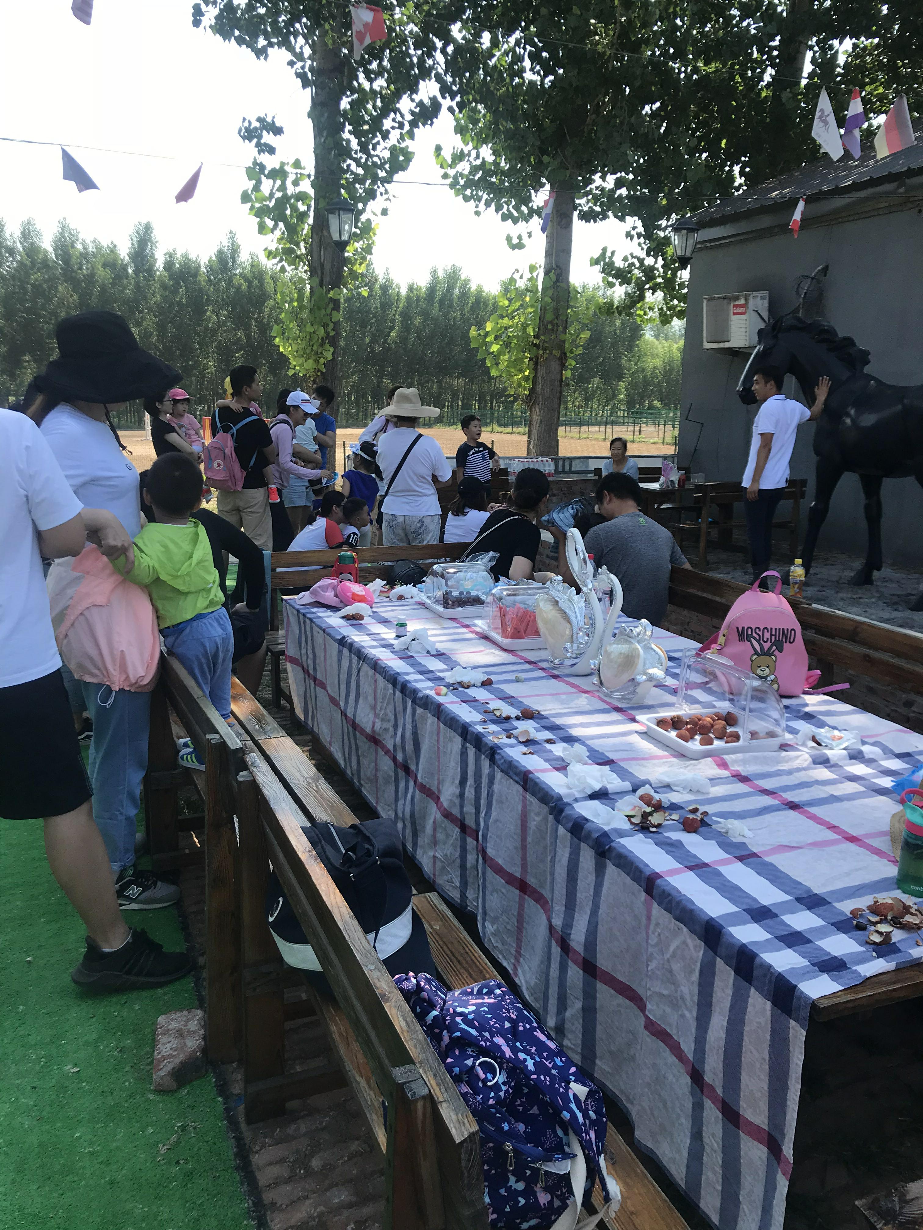 NYC紐約國際兒童俱樂部平谷早教中心：火爆活動之《小小馬術師》活動回顧