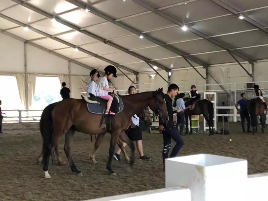 NYC紐約國際北京大興龍湖早教中心：【活動預告】小小馬術師