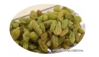 NYC,紐約國際,上海早教,課程預告