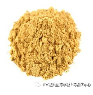 NYC,紐約國際,上海早教,課程預告