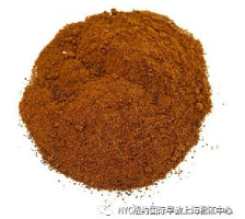 NYC,紐約國際,上海早教,課程預告