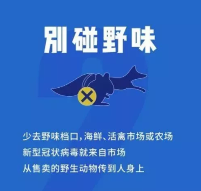 NYC,紐約國際,上海早教,上海松江中心,早教中心