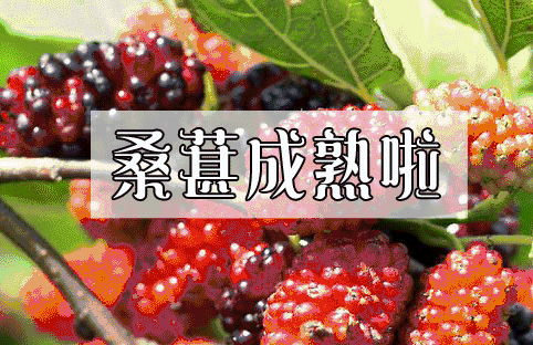 NYC紐約國際平谷早教中心：嗨爆六月，酷爽一“夏”