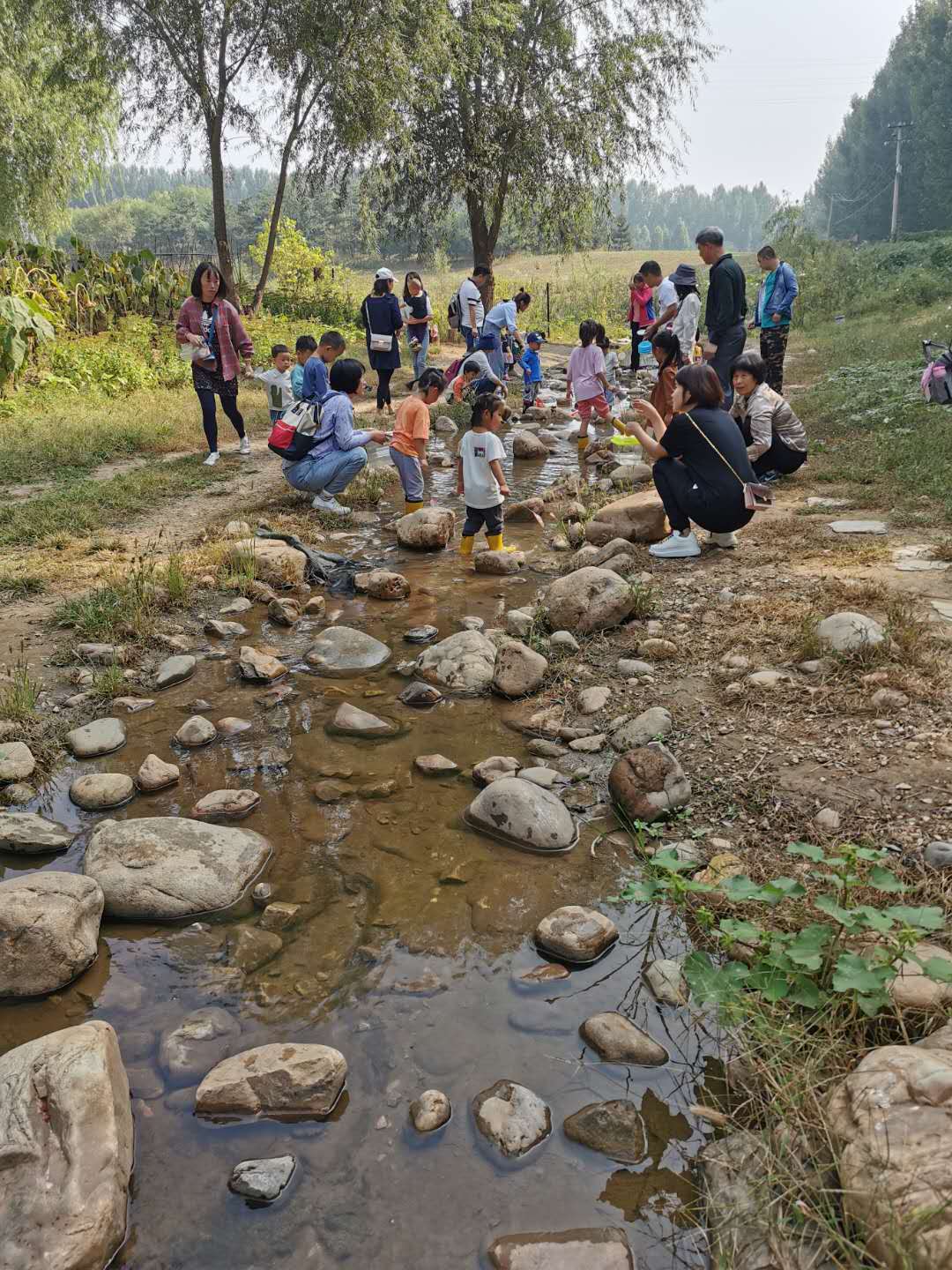 NYC紐約國際平谷中心：《歡樂農場》回顧