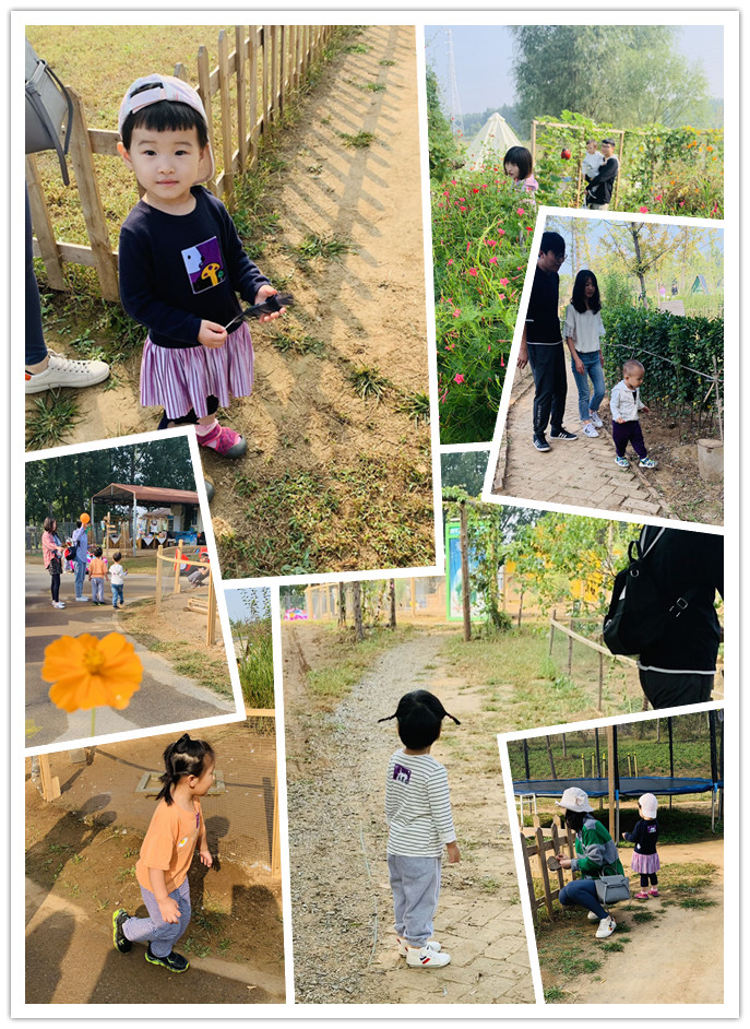 NYC紐約國際平谷中心：《歡樂農場》回顧