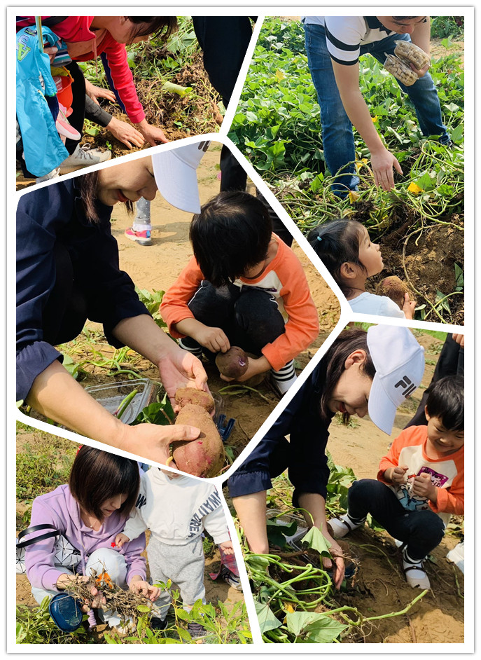 NYC紐約國際平谷中心：《歡樂農場》回顧
